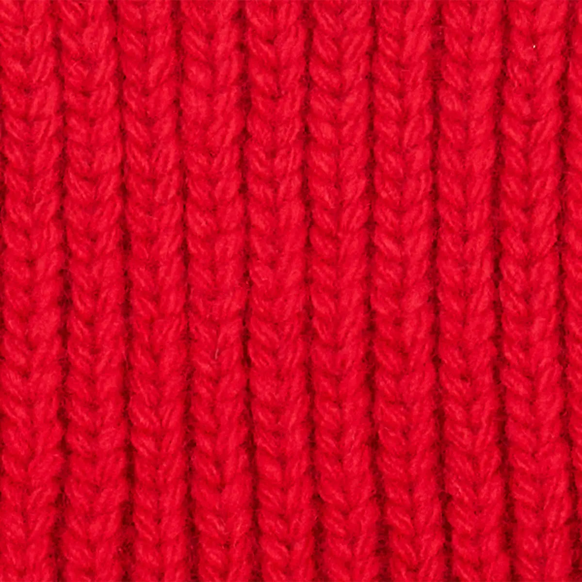 BASK IN THE SUN red TO THE SEA beanie