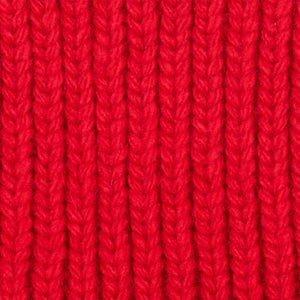 BASK IN THE SUN red TO THE SEA beanie