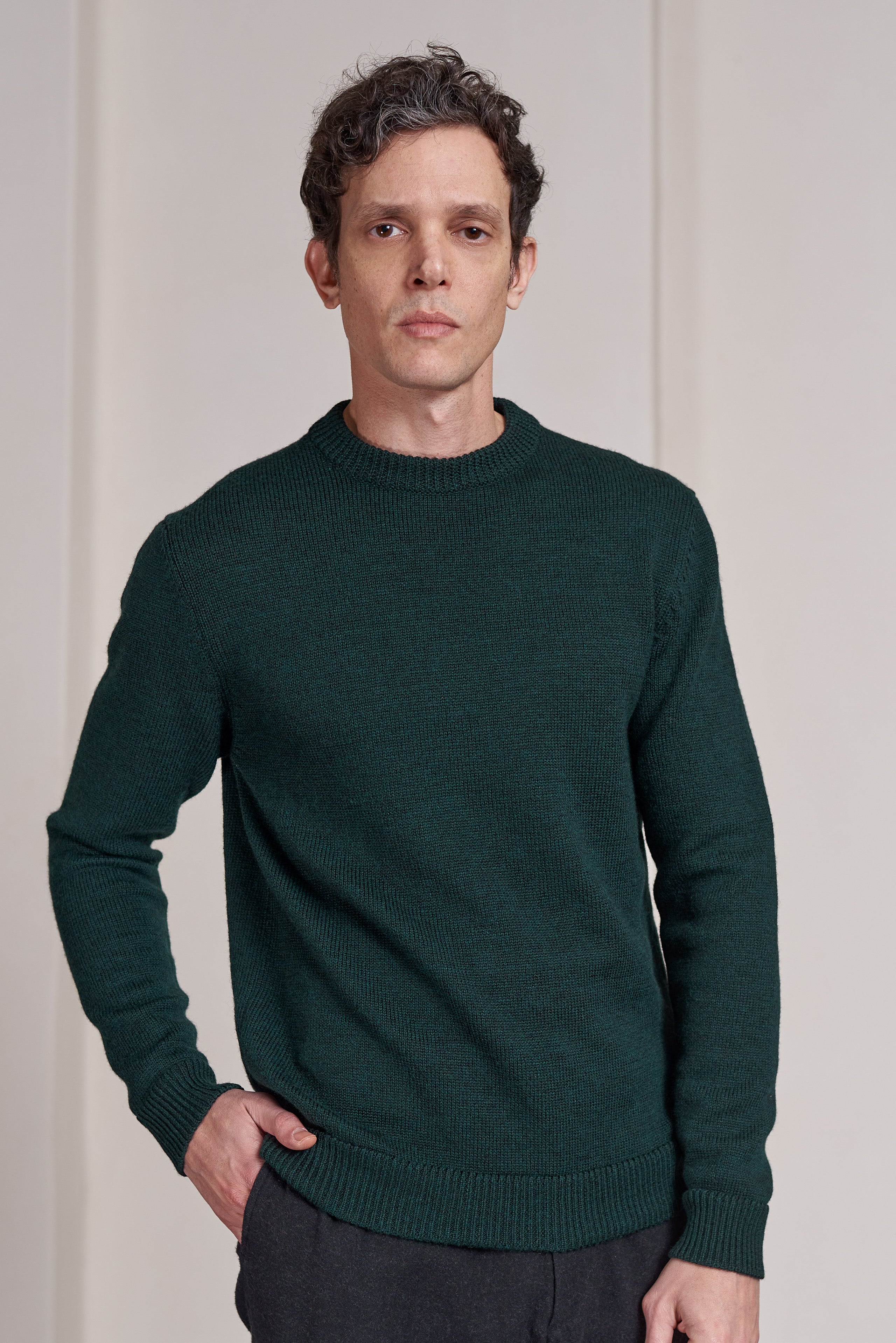 About Companions Merinowolle Pullover Morten in melange racing green