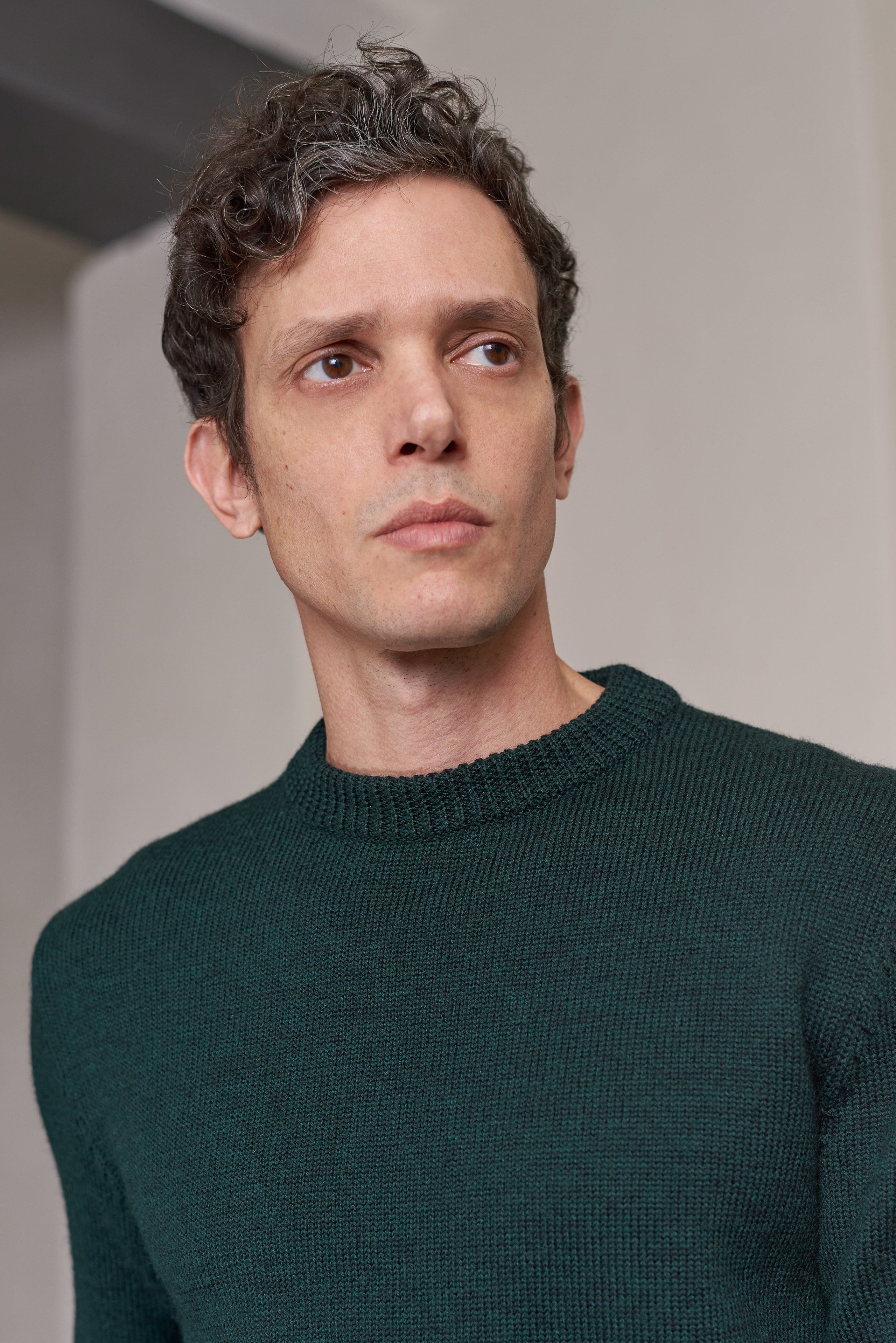 About Companions Merinowolle Pullover Morten in melange racing green